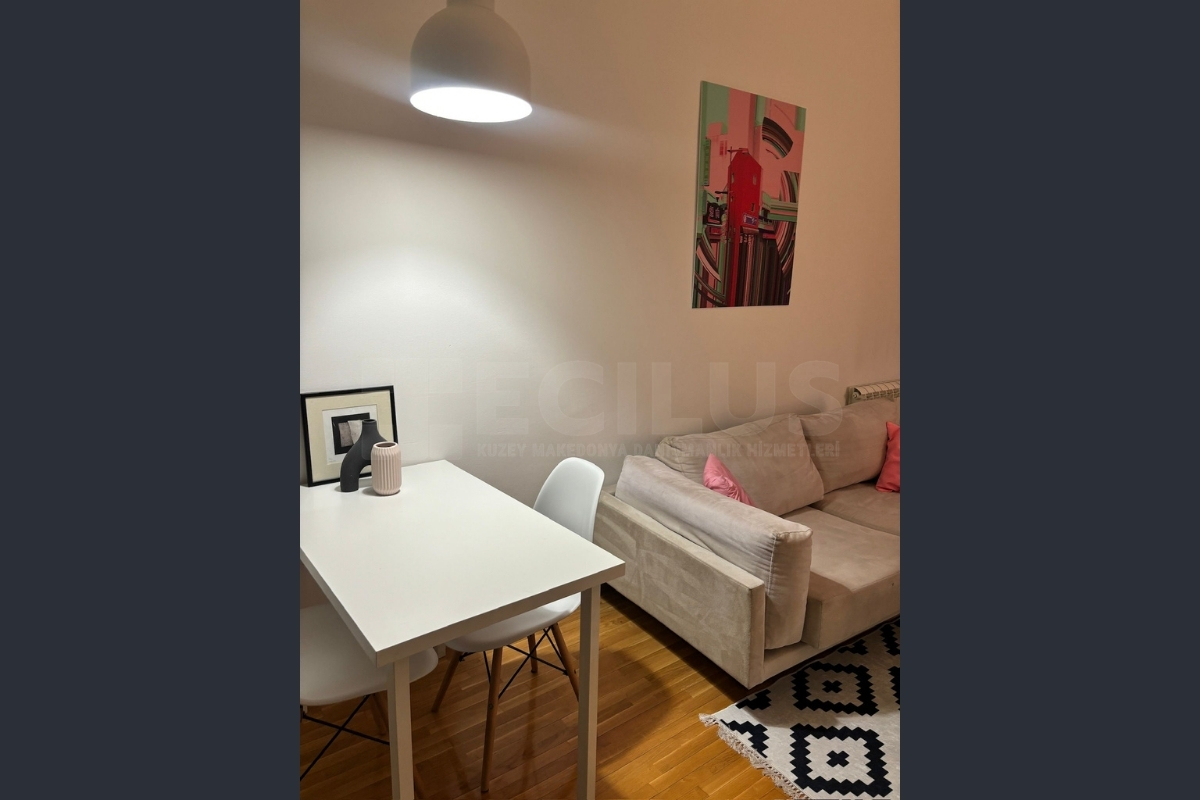 Debar Maalo Centar Dublex 2+1 Eşyalı Daire — fotoğraf 2